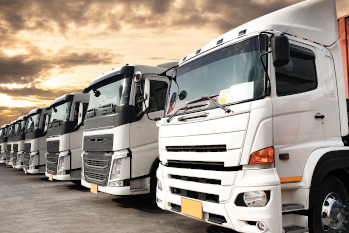Quién le llama en empresas de Transporte
